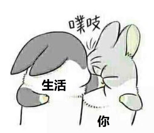  应该什么时候才让孩子知道圣诞老人是假的