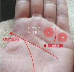  老板命的手相,注定一辈子钱财不缺,大富大贵