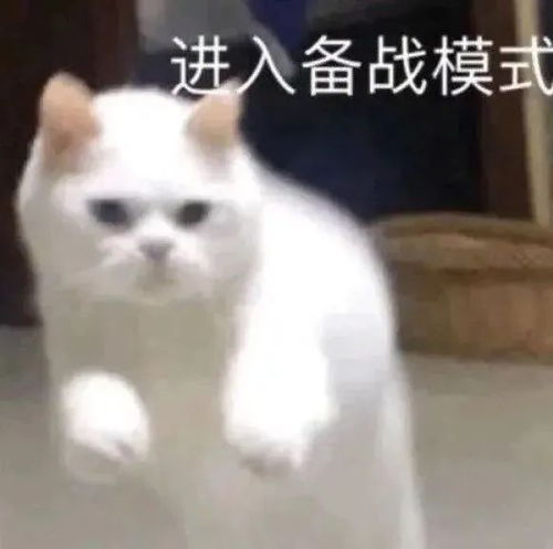  求求夏天别再热了网友沙雕梗图当场笑破防