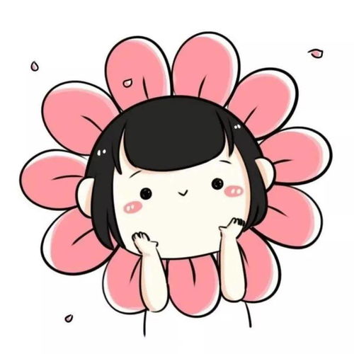  在云师,我和我最的朋友