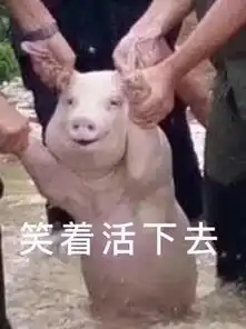  两名男子一起从外地进猪肉回扬中卖,回来路上却这就尴尬了