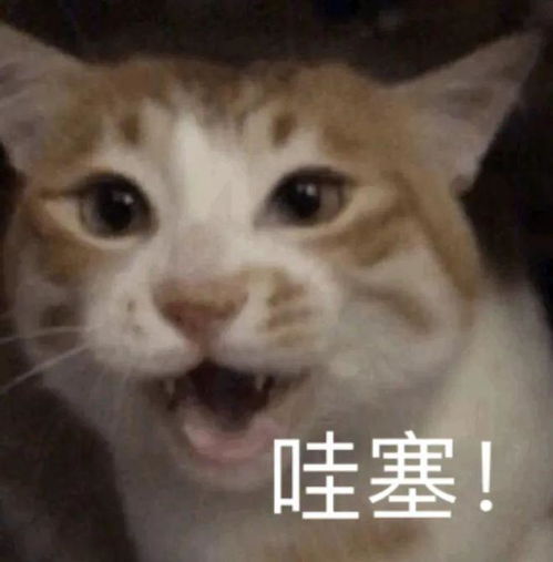  闺蜜手机里居然有这种表情包发给男朋友,撩不动算我输...