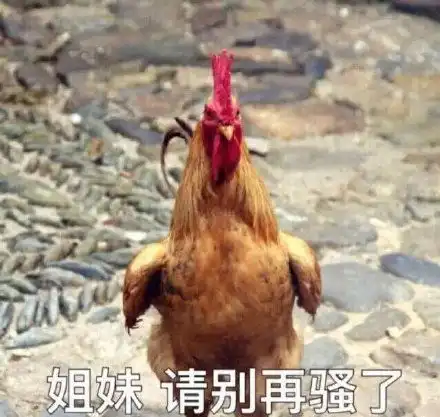  轻松一刻大雪封山,救我狗命,这是什么沙雕锦旗