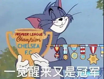  表情包汤姆猫系列