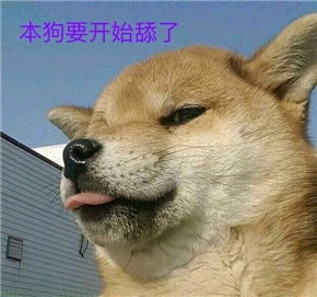  舔狗系列表情包有哪些舔狗表情包分享