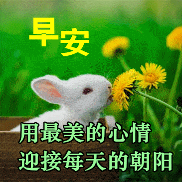  中老年表情包,朋友一生一起走,感恩有你