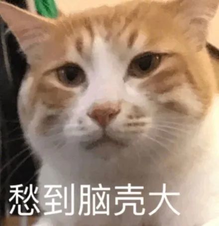  作为嫂子101的全能ace,她再次抡锤了