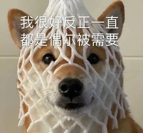  表情包快来更新你的表情包库存