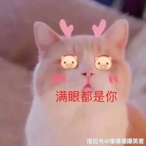  爆笑段子妹妹处了个农村男朋友,爸妈有点不乐意ice