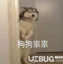 谁喝酒谁是狗表情包抖音