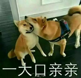  护肤彩妆夏末秋初89月爱用品推荐