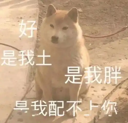  合集汪星人表情包