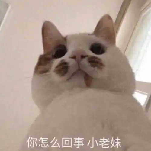  号称中国版鬼怪我与你的光年距离2到底什么来头