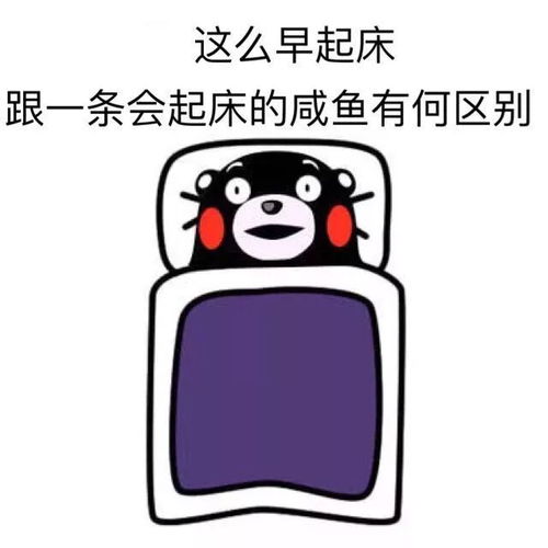  堵高速排队看人头no国庆七天来这里,让你嗨到爆
