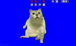  救命再盯着我看,奇怪的知识就要增加了
