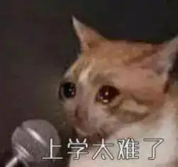  如何判断院校是否难考这些专业专业冷门却好上岸
