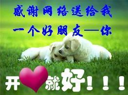  a1056555619
