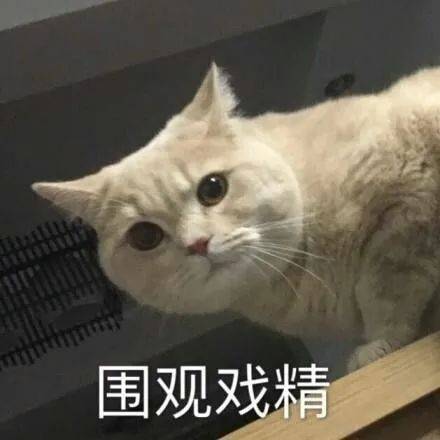  奇怪的表情增加了