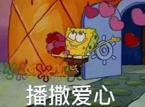  救命红包被骗子抢光沈阳网警一天破案