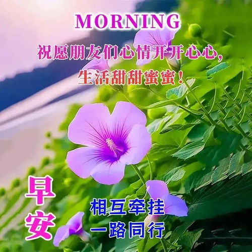 开启美好一天的早安问候语早上好祝福句子带唯美祝福图片
