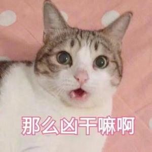  李姐笑话妈妈,你爱我还是爱爸爸