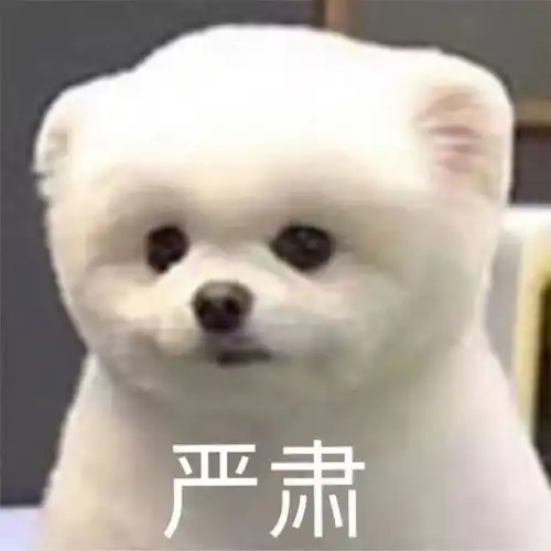  毕设选题采不到人,我快枯了