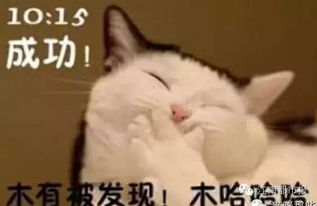  在乌兰察布工作是一种怎样的体验看了这个就知道,戳中心肺啊