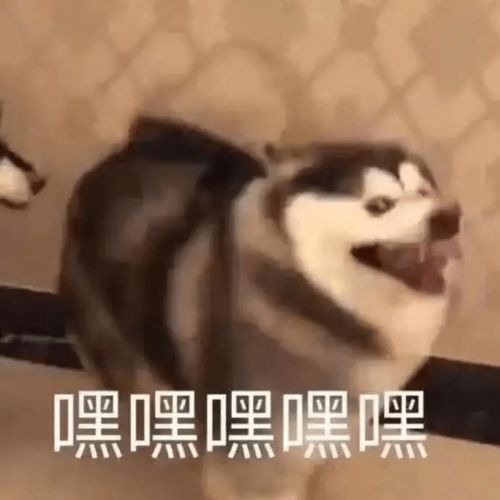  破防了考生亲述假如一建通过后,我要....