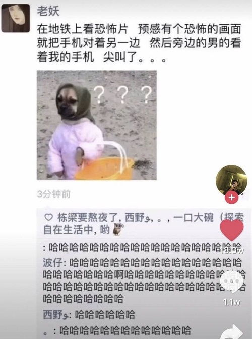  我警告你我生气的时候,不要跟我嬉皮笑脸你一笑,我就会跟着笑这样会显得我很没面子