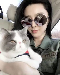  不管是胡歌还是范爷,他们就是长得好看的猫奴隶
