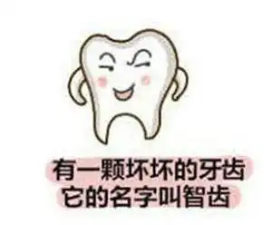 口腔护理突然长智齿了该怎么办
