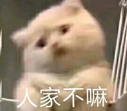  等我家大哥上线发微博跟等彩票中奖一样