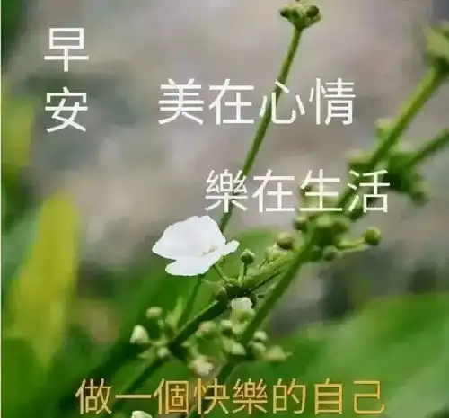  每日早上好问候表情包让你心情愉快的动态祝福图片