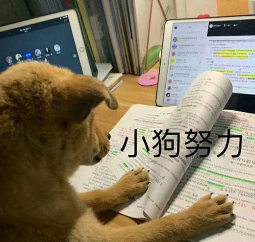  四级翻译喝酒喝茶吃烤鸭,你考的哪一个