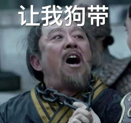  男女通吃老少皆宜盘点胡歌背后强大的后宫团
