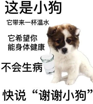  抖音谢谢小狗表情包有哪些谢谢小狗表情包分享咖绿茵手游站