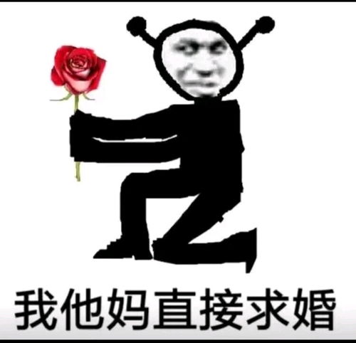  收录我tm直接xx表情包