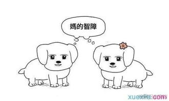  2017年十大网络流行语