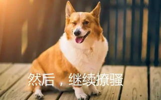  那么投行狗们最后都去干了啥