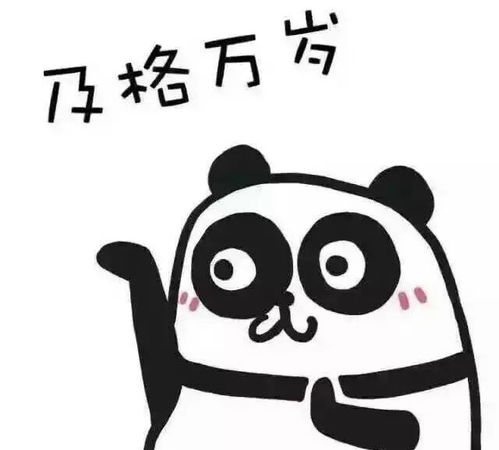  送给明天将要奔赴战场的你们