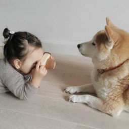  只生一个也不孤单这个3岁女孩在乡下养了一只柴犬,结果暖哭了全世界