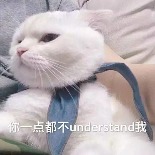  千万不要和金融女谈恋爱因为她们...