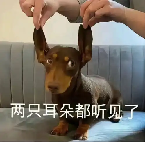  爱或不爱,这几个星座可真是藏得深看不穿啊