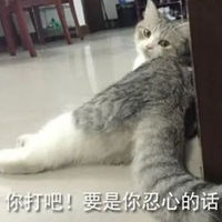  微信打美女屁屁表情包