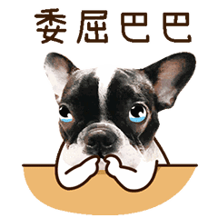  魔性狗子表情包全属精品
