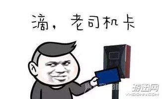  然而并没有什么卵用2017年七大热门表情包系列