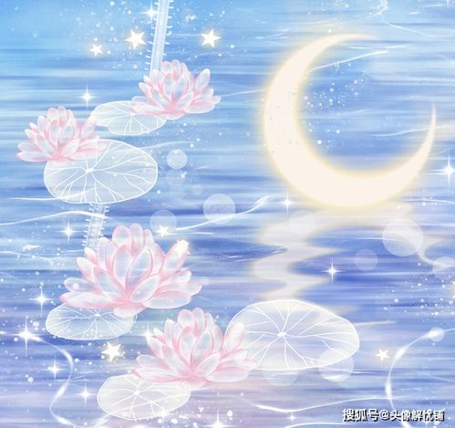  适合爸妈头像风格系列,微信朋友圈专用