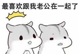  仓鼠球表情包系列老公