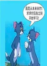  来来花