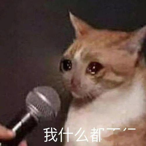  沙雕聊天表情包
